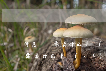 停息掛賬需要什么手續(xù)-停息掛賬需要什么手續(xù)和證件