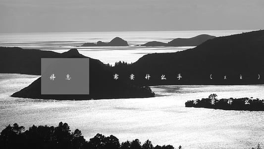 停息掛賬需要什么手續(xù)和費(fèi)用-停息掛賬需要什么手續(xù)和費(fèi)用呢