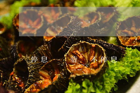 停息掛賬靠譜不(停息掛賬安全嗎)