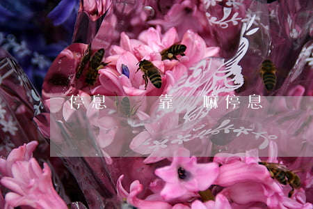 停息掛賬靠譜嘛 停息掛賬的利與弊