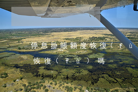 停息掛賬額度恢復(fù)嗎(停息掛賬額度恢復(fù)嗎)
