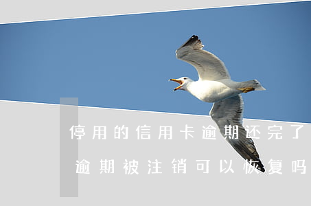 停用的信用卡逾期还完了应该注销吗（信用卡逾期被注销可以恢复吗）