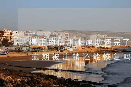 停用的信用卡逾期还完了应该注销吗（信用卡逾期被注销还能恢复吗）