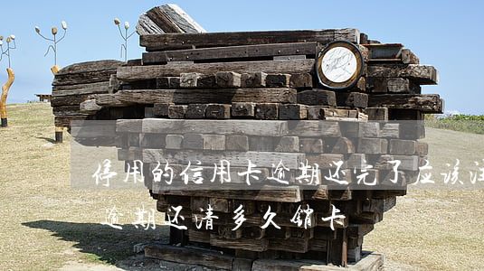 停用的信用卡逾期还完了应该注销吗（信用卡逾期还清多久销卡）