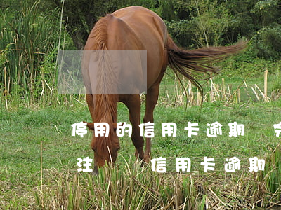 停用的信用卡逾期還完了應(yīng)該注銷嗎（信用卡逾期銷戶了還能補(bǔ)救嗎）