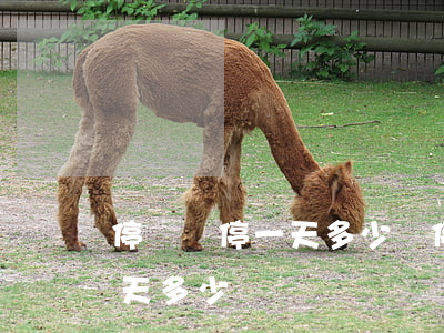 停車庫停一天多少錢(停車費(fèi)停一天多少錢)