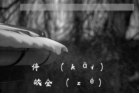 停車開(kāi)車門傷人要負(fù)事故全責(zé)嗎