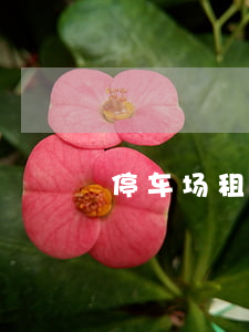 停车场租用协议书