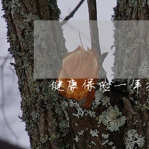 健康保险一年交多少钱