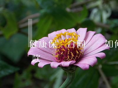 健康保險合同糾紛如何處理(健康保險合同條款)