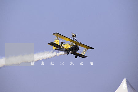 健康狀況怎么填