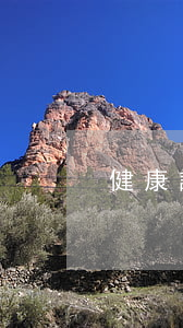 健康證明怎么開(kāi)