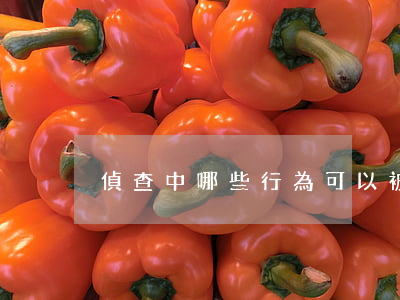 偵查中哪些行為可以被申訴和控告
