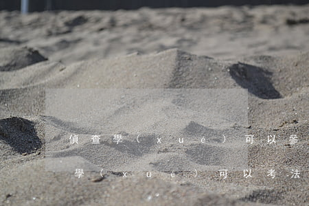 偵查學(xué)可以參加司法考試嗎(偵查學(xué)可以考法考嗎)