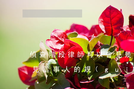偵查階段律師可以會見幾次(偵查階段律師會見當事人的規(guī)定)