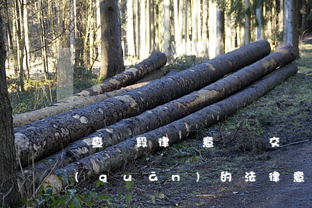 偵查階段律師意見書交(給偵查機(jī)關(guān)的法律意見書)