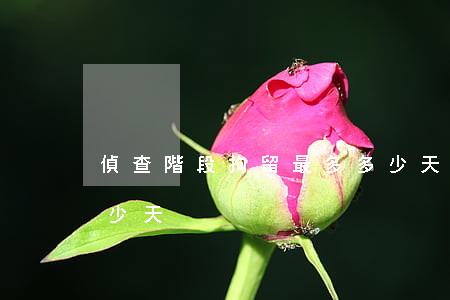 偵查階段拘留最多多少天(警察偵查期最多多少天)