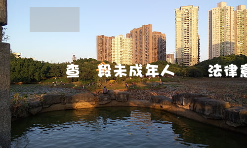 偵查階段未成年人盜竊法律意見書