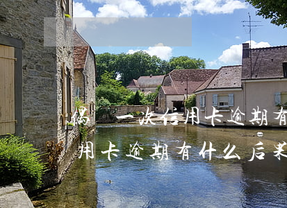 偶爾一次信用卡逾期有什么后果(偶爾一次信用卡逾期有什么后果)