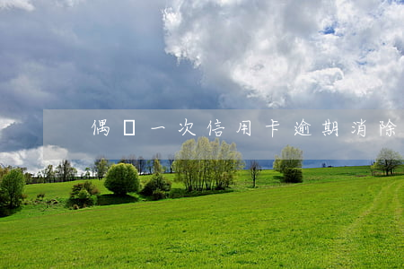 偶爾一次信用卡逾期消除