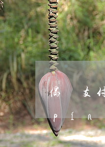 偶爾支付寶逾期會(huì)影響信用評(píng)嗎(支付寶逾期了對(duì)信用卡有影響沒有)