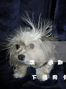 偶爾逾期對(duì)信用卡影響(什么情況下信用卡會(huì)被認(rèn)為嚴(yán)重逾期)