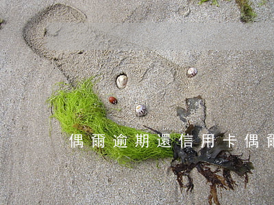 偶爾逾期還信用卡(偶爾逾期還信用卡)