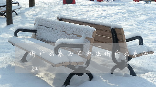 偷什么东西不犯法 (偷什么东西不犯法? 最强大脑)