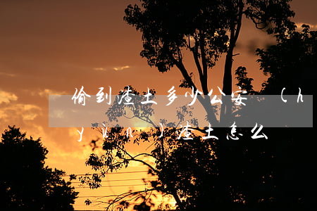 偷到渣土多少公安會(huì)立案(偷運(yùn)渣土怎么處罰)