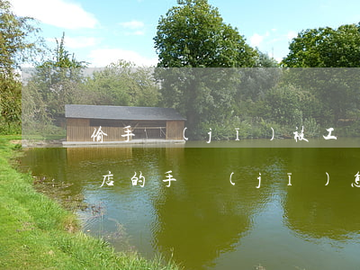偷手機(jī)被工廠起訴(偷手機(jī)店的手機(jī)怎么判刑)