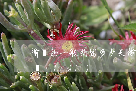 偷東西一般拘留多少天(偷東西拘留幾天能出來(lái))