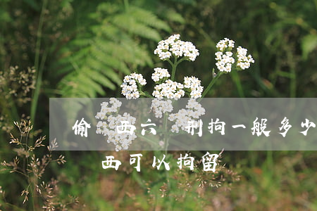 偷東西六萬刑拘一般多少天可以出來?(偷多少東西可以拘留)