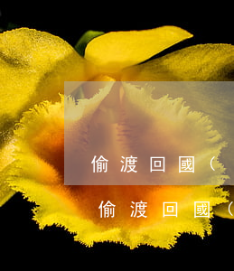 偷渡回國(guó)會(huì)被判刑嗎(偷渡回國(guó)被抓)