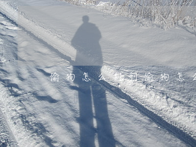 偷狗怎么判刑(偷狗怎么判刑價值4000)