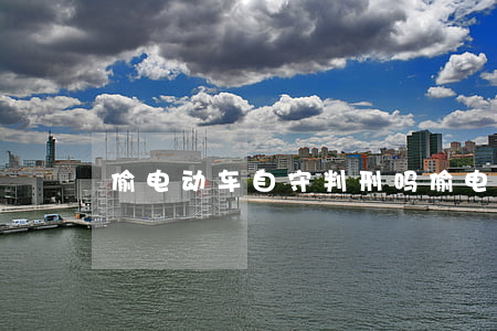 偷电动车自守判刑吗(偷电动车电瓶怎么处罚)