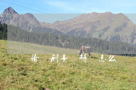 偷盜刑事諒解書怎么寫
