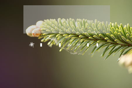 偷盜行為如何處罰