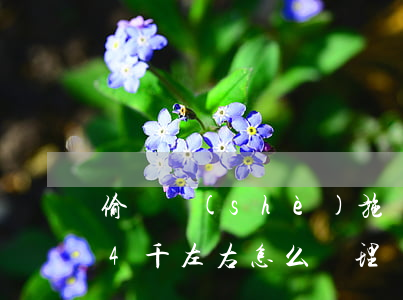 偷盜設(shè)施賣了4萬怎么賠償(偷盜4千左右怎么處理)