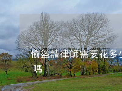 偷盜請律師需要花多少錢(盜竊罪可以請律師嗎)
