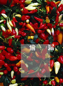 偷稅漏稅跟逃稅的區(qū)別具體是什么