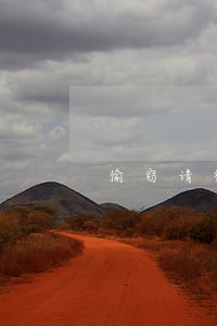 偷窃请律师费用多少钱