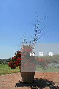 偷竊幾十塊錢(偷幾十塊錢怎么處理)