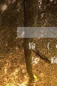 偷錢(qián)坐牢會(huì)影響子女嗎(偷了家里的錢(qián)會(huì)坐牢嗎)