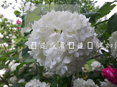 偽造或者變造車牌如何處罰