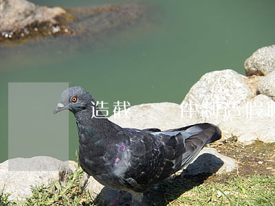 偽造截圖軟件(制造假聊天截圖的軟件)