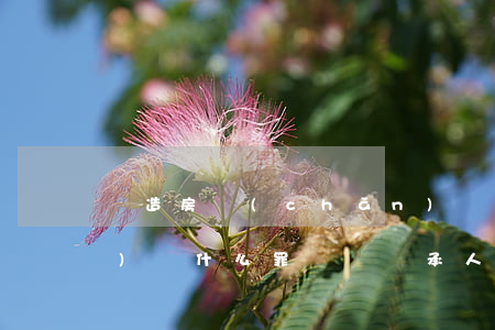 偽造房產(chǎn)繼承授權(quán)書什么罪(隱瞞繼承人房產(chǎn)過戶)