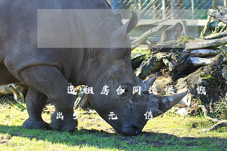 偽造租房合同，提供虛假證據(jù)，法院開出5萬元“誠信罰單”