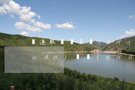 偽造股東簽名轉(zhuǎn)讓股權(quán)維權(quán)指南（2019版）