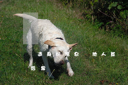 偽造身份信息與他人登記結(jié)婚的后果