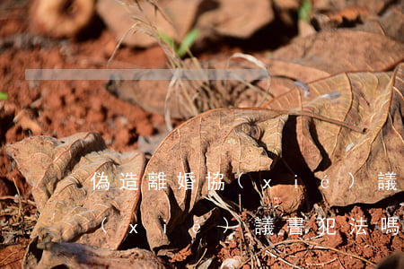 偽造離婚協(xié)議判幾年(偽造離婚協(xié)議書犯法嗎)